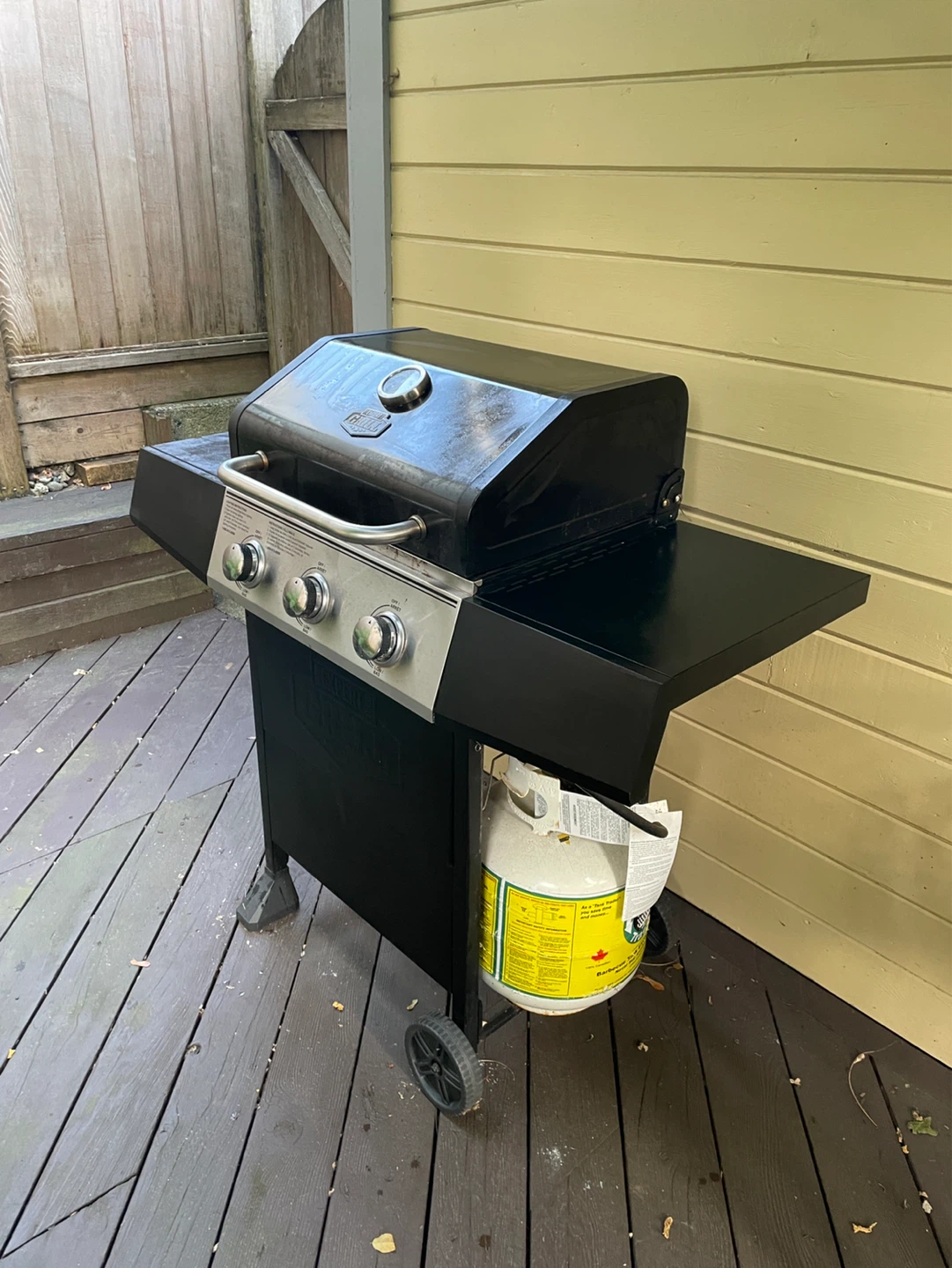 Expert Grill with Propane