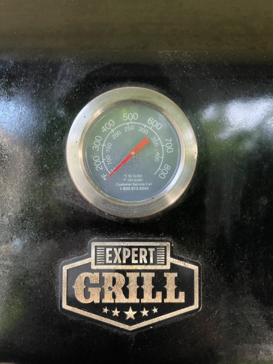 Expert Grill with Propane - photo 4