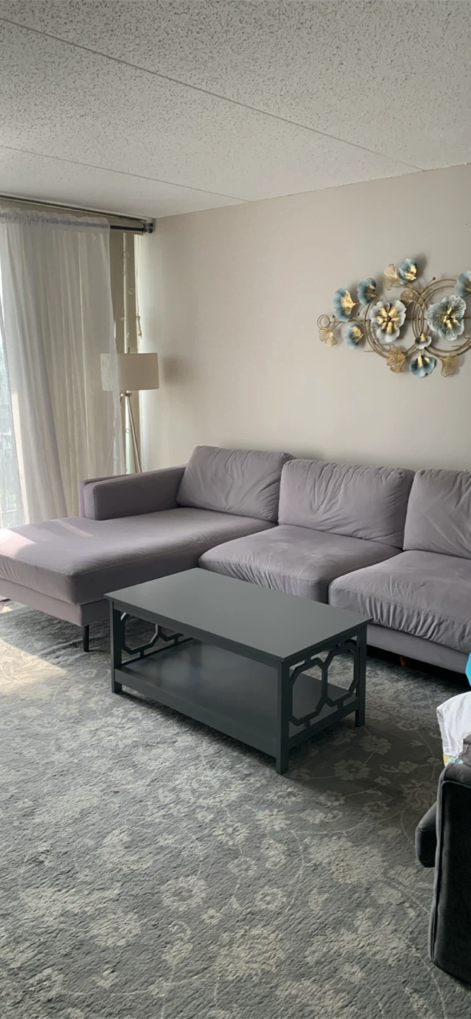 4-Piece Gray Sectional Sofa with Chaise