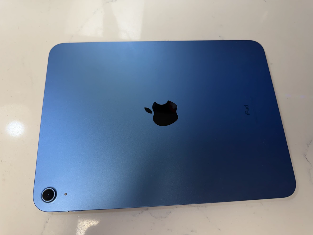 Blue Apple iPad