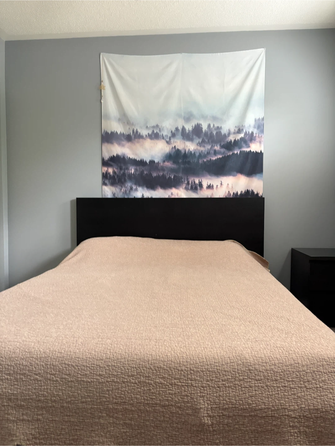 IKEA MALM Bed Frame only - photo 4
