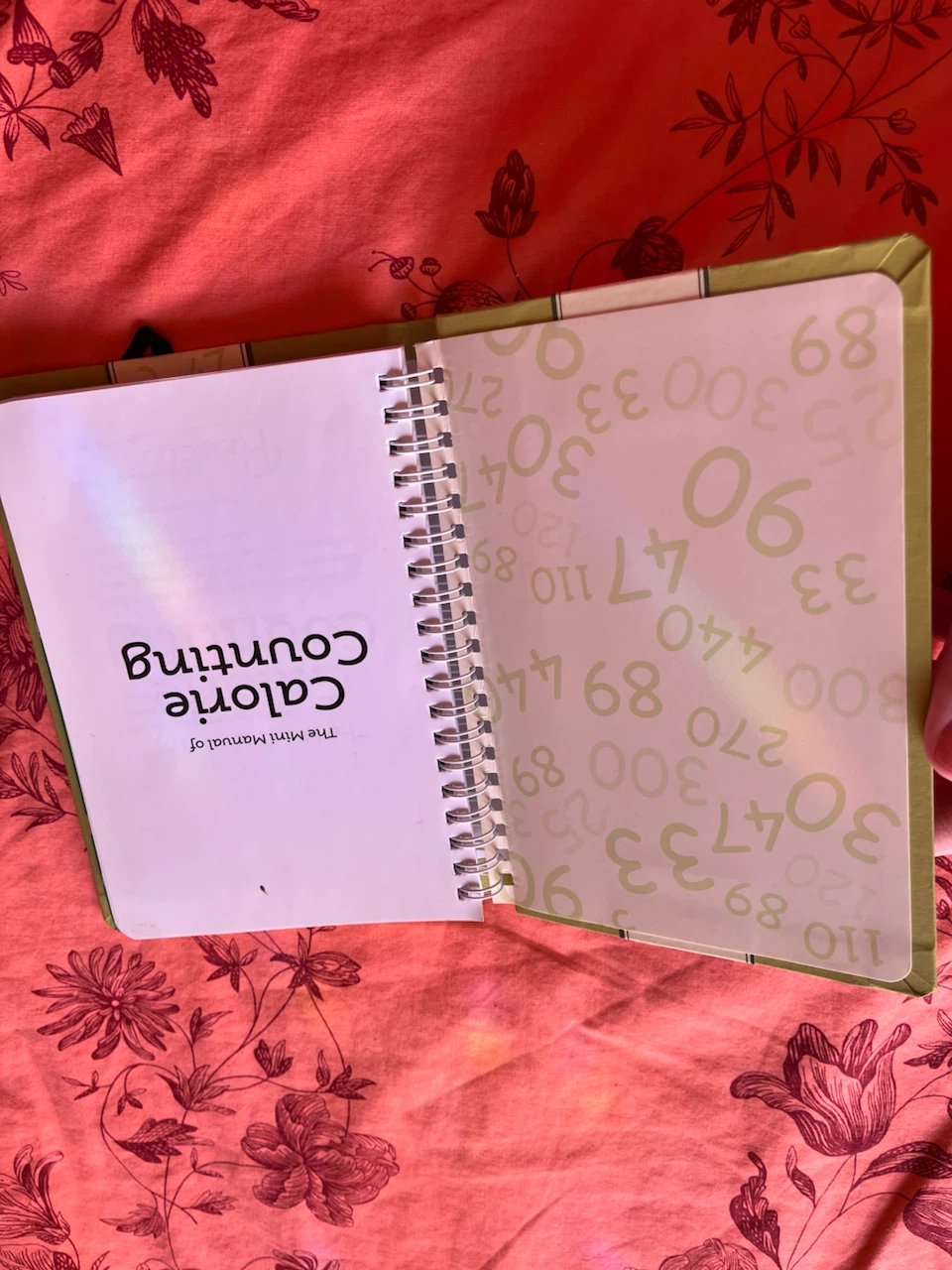 The Mini Manual of Calorie Counting Book - photo 3