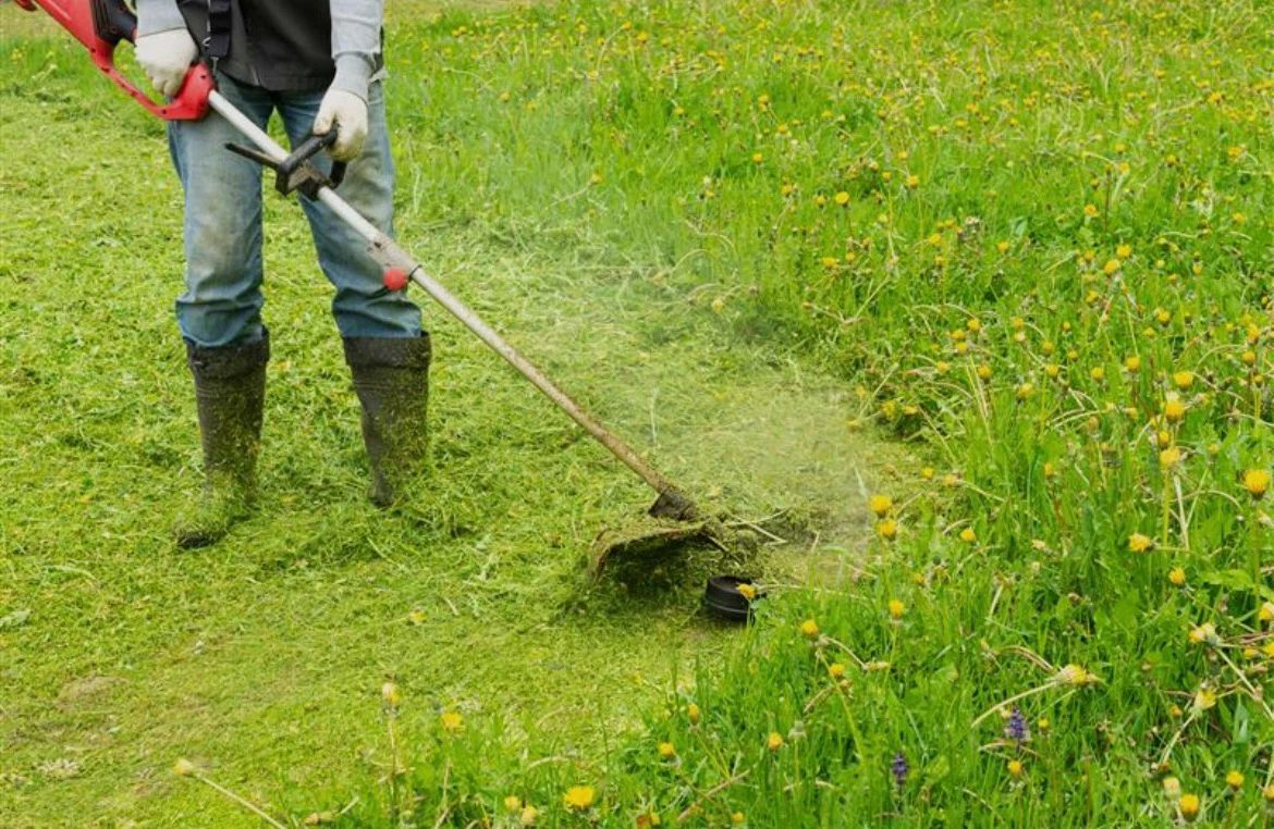 Lawn Care & Grass Installation - photo 2