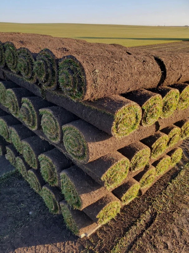 Lawn Care & Grass Installation - photo 3