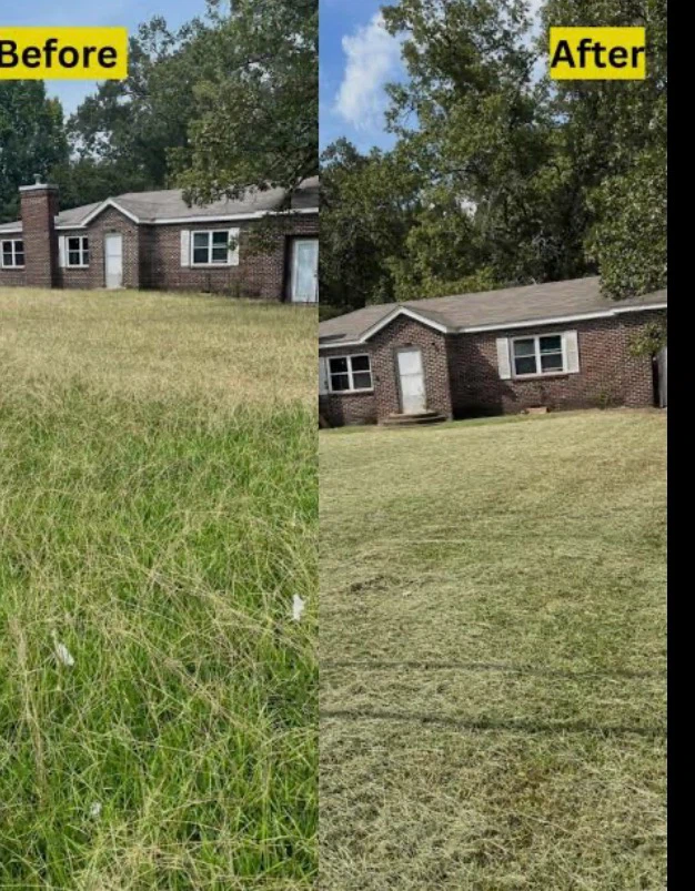 Lawn Care & Grass Installation - photo 4