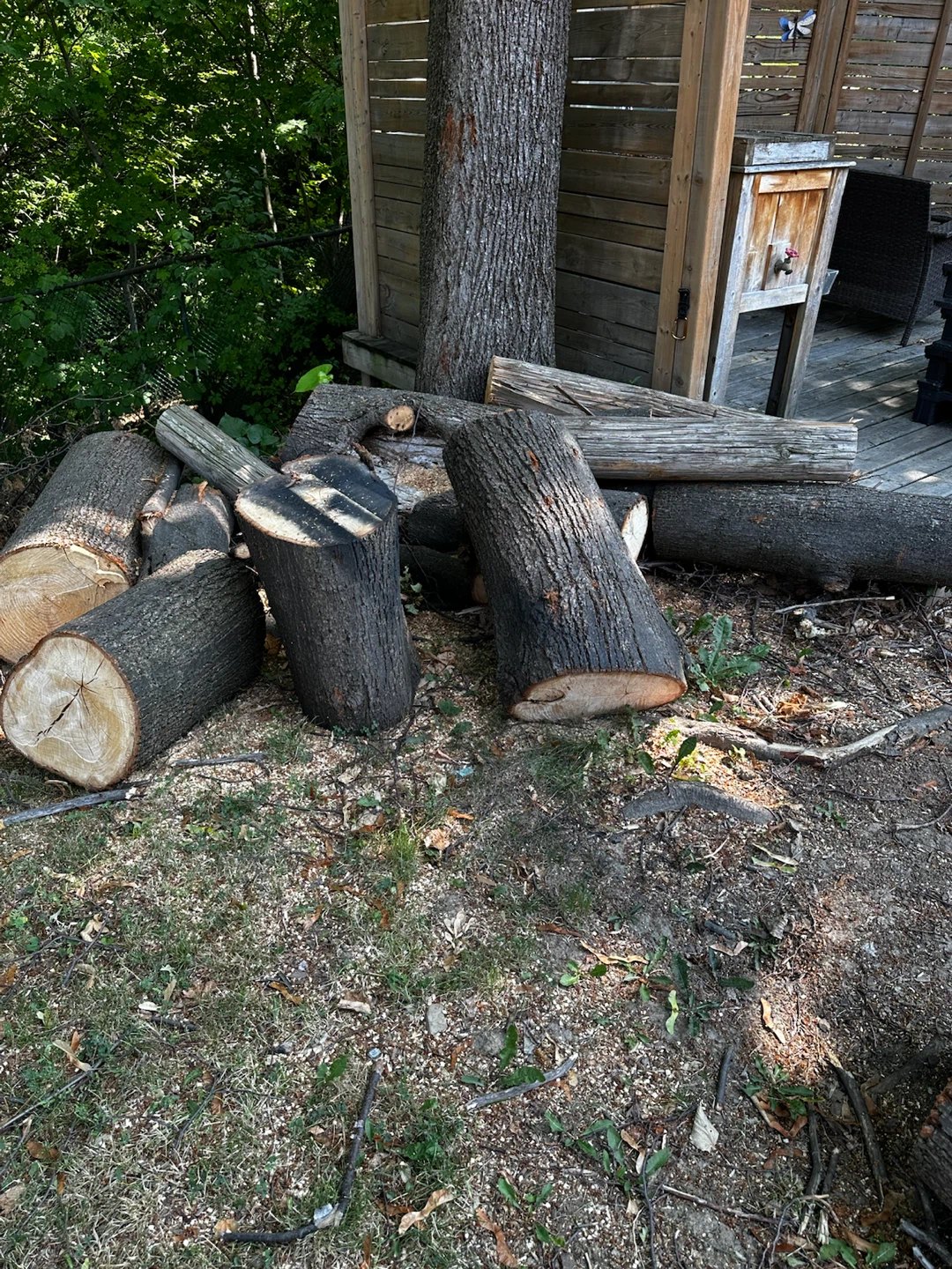 Firewood Logs for free - photo 3