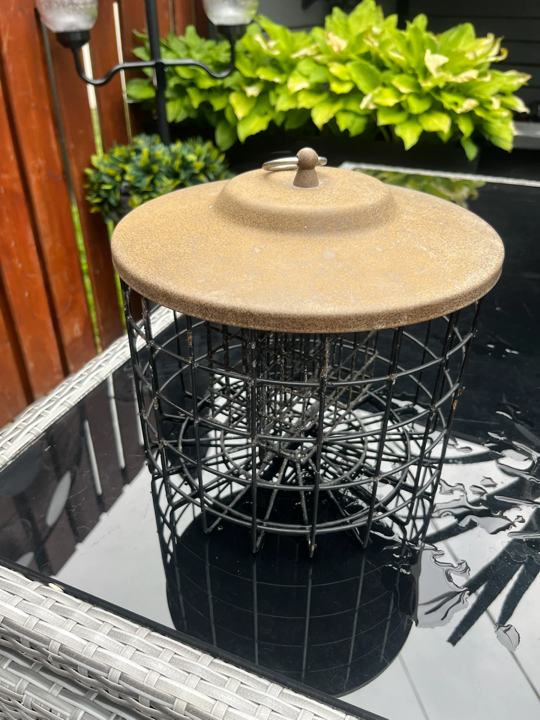 Squirrel Proof Bird Feeder