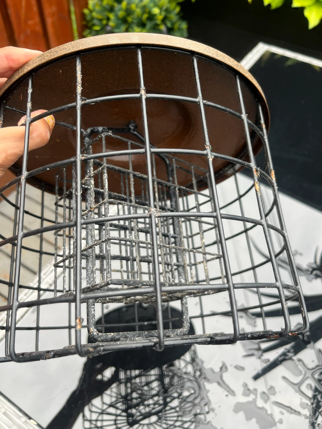 Squirrel Proof Bird Feeder - photo 2