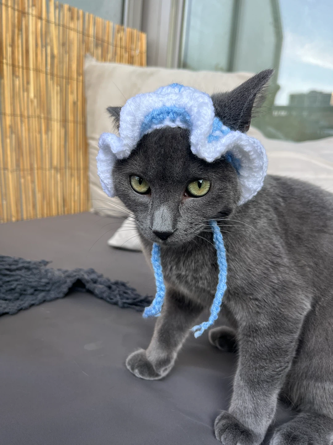Custom Handmade Crochet Pet Hats