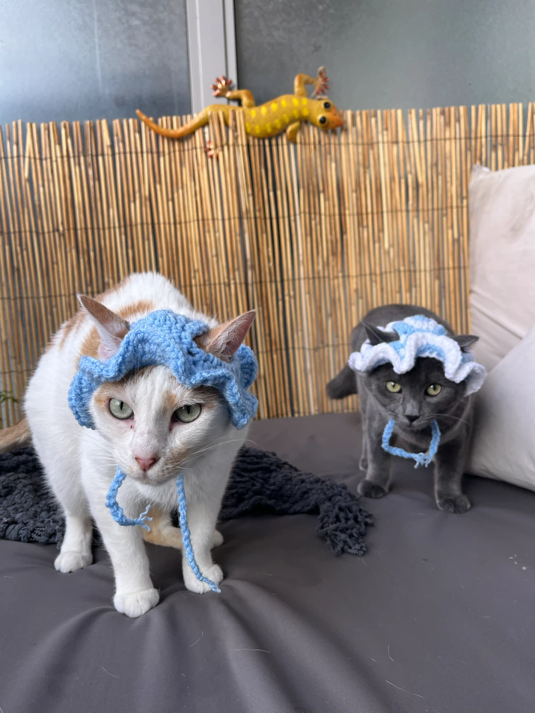 Custom Handmade Crochet Pet Hats - photo 2