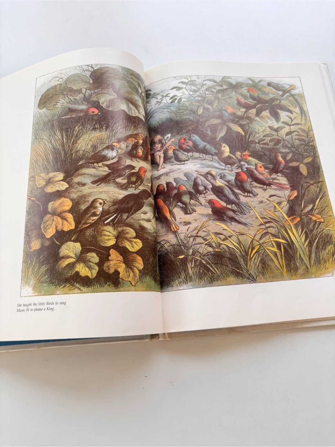 In Fairyland Book with Illustrations by Richard Doyle - photo 2