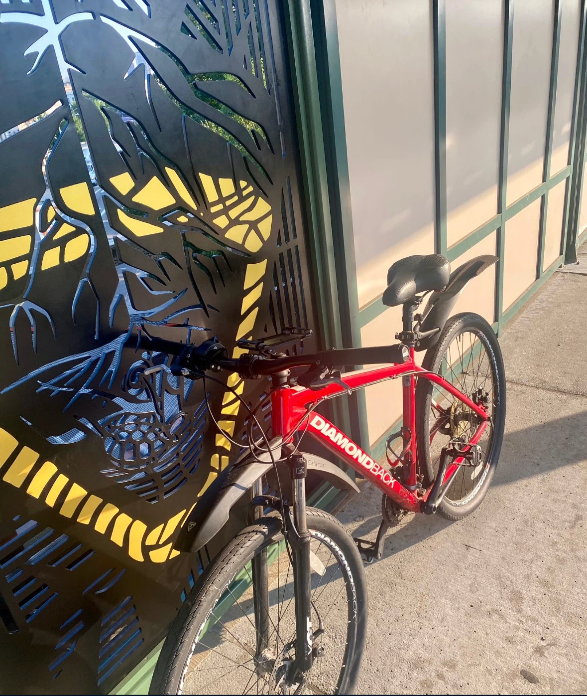 Red Diamondback Mountain Bike
