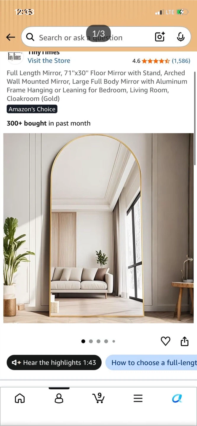 Full Length Mirror - Arched Gold Frame