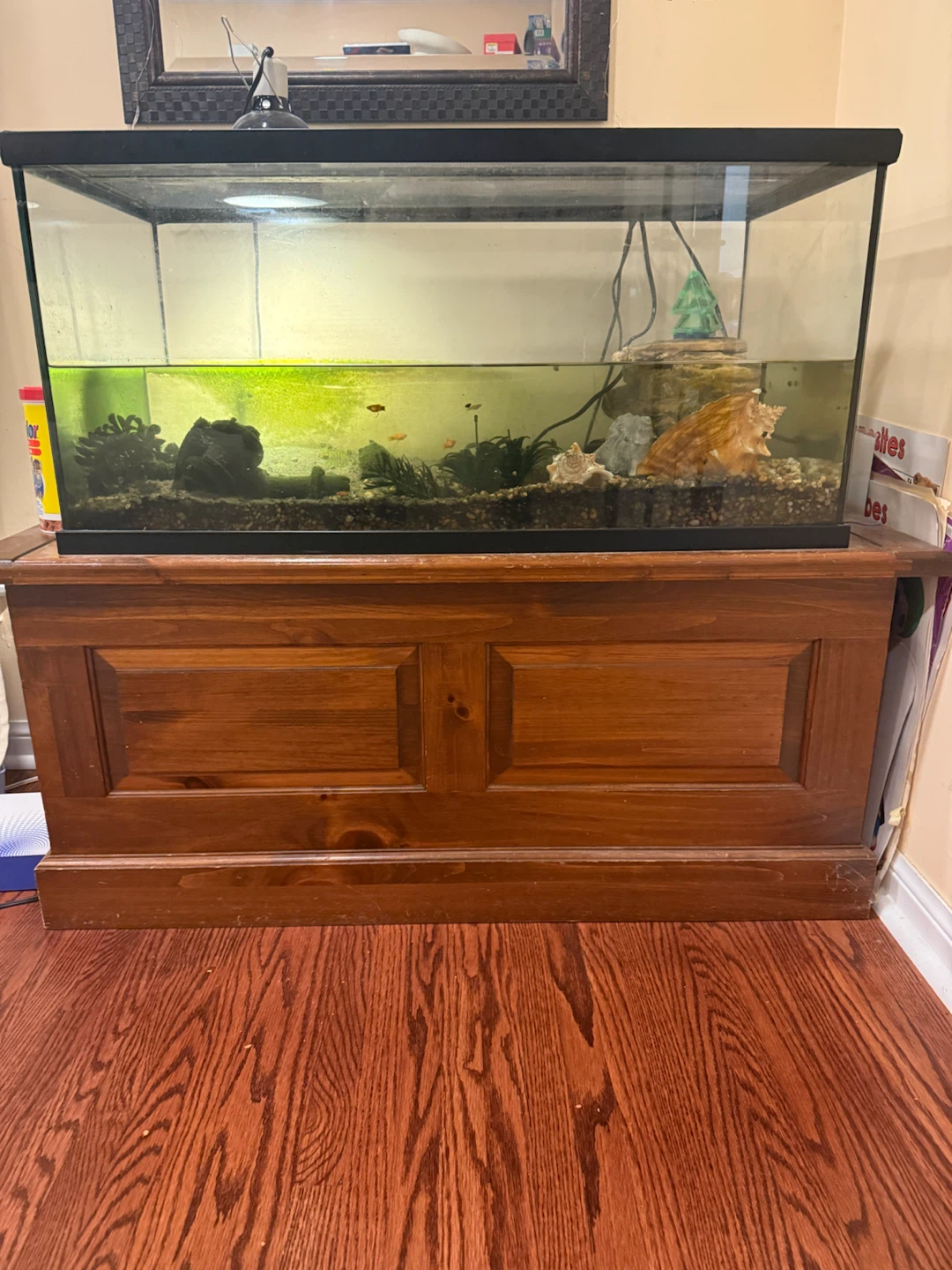 Terrarium Tank with Stand and Lamp