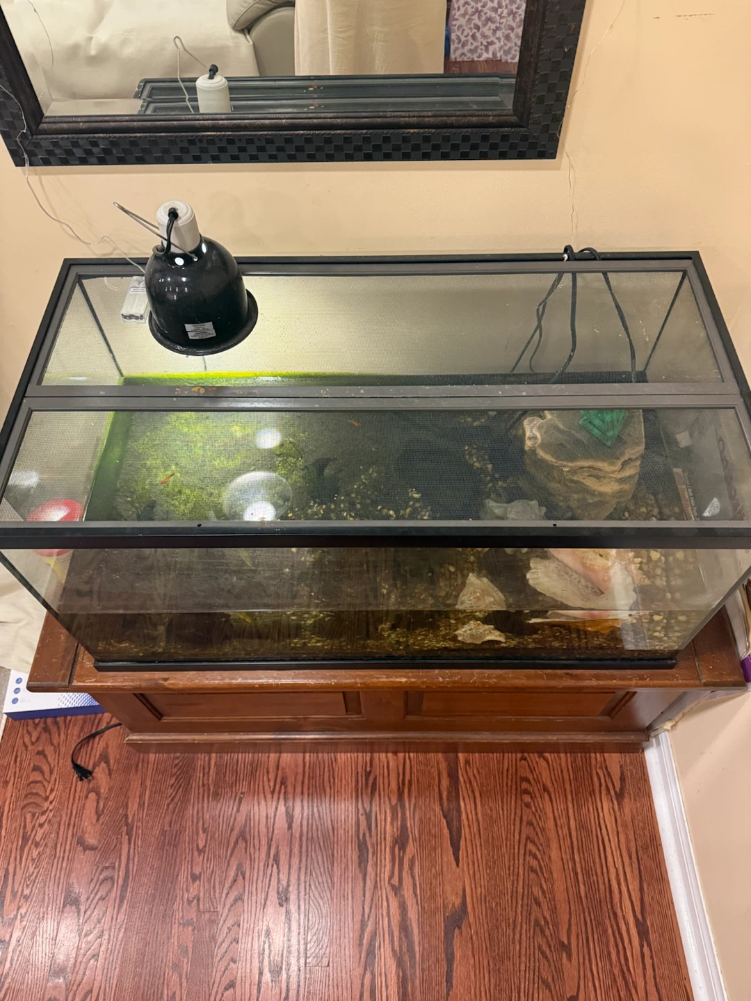 Terrarium Tank with Stand and Lamp - photo 2