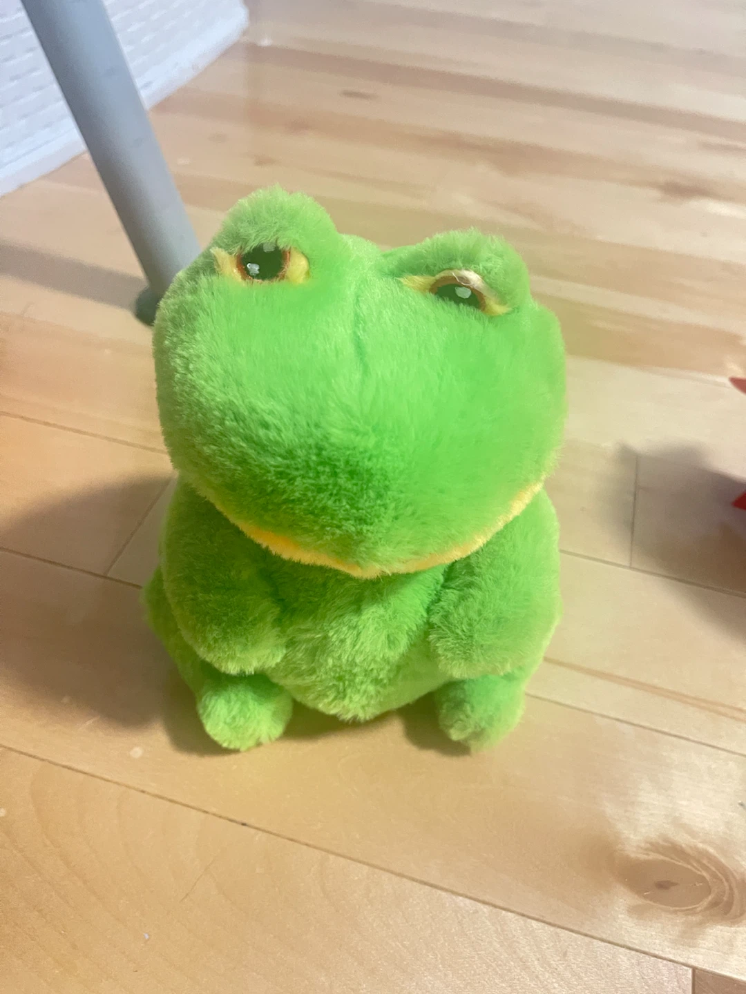 Green Plush Frog Toy