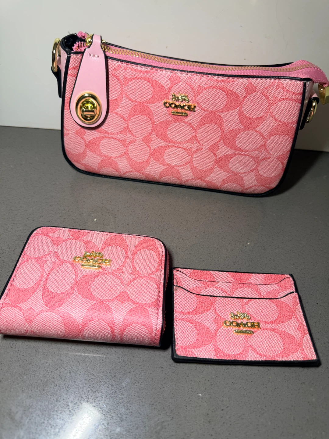 Pink set coach bag