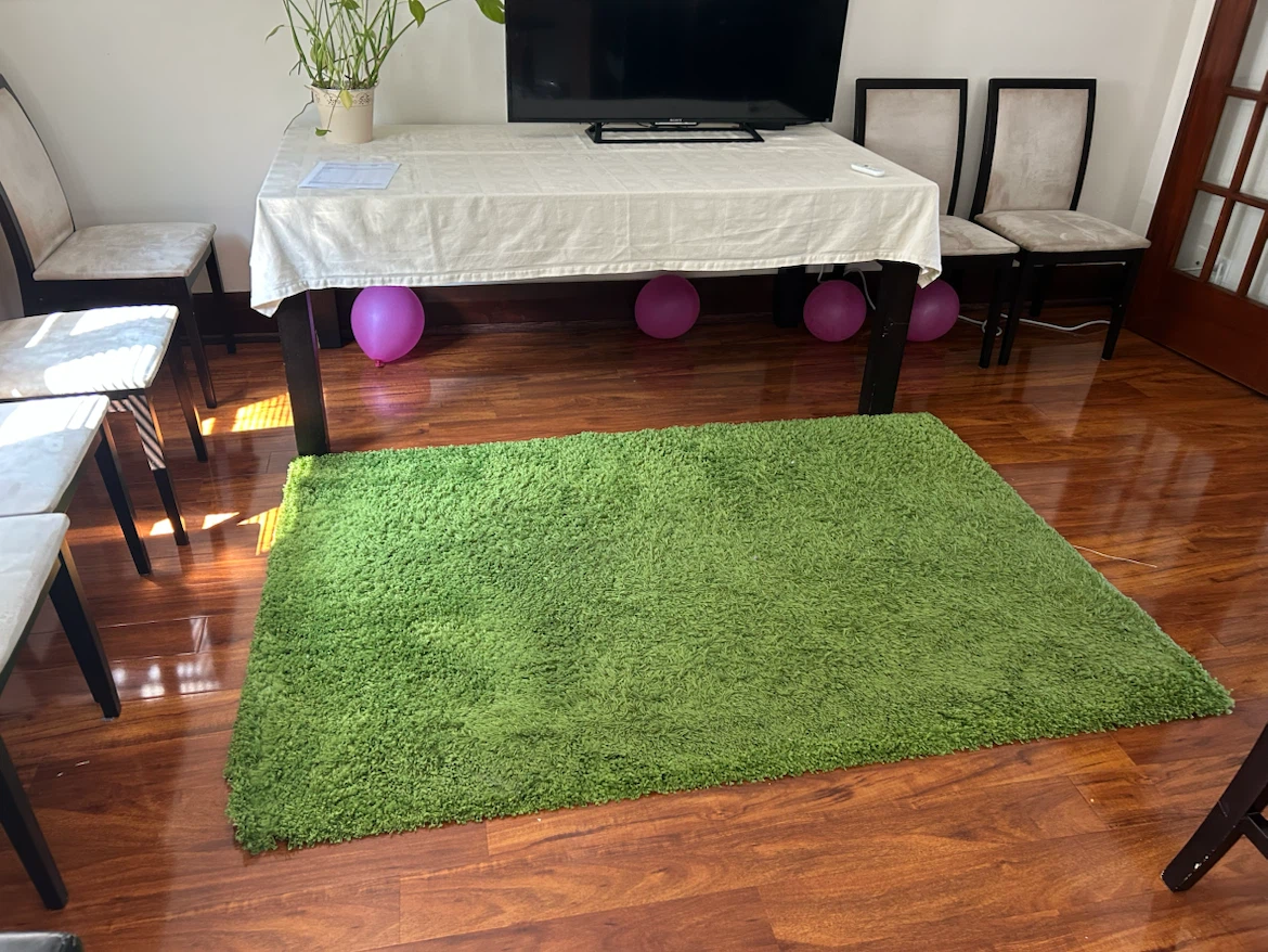 Green Shaggy Area Rug