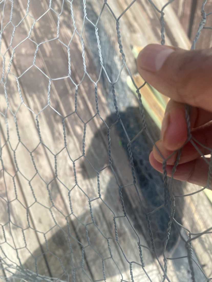 Chicken Wire Mesh Fencing