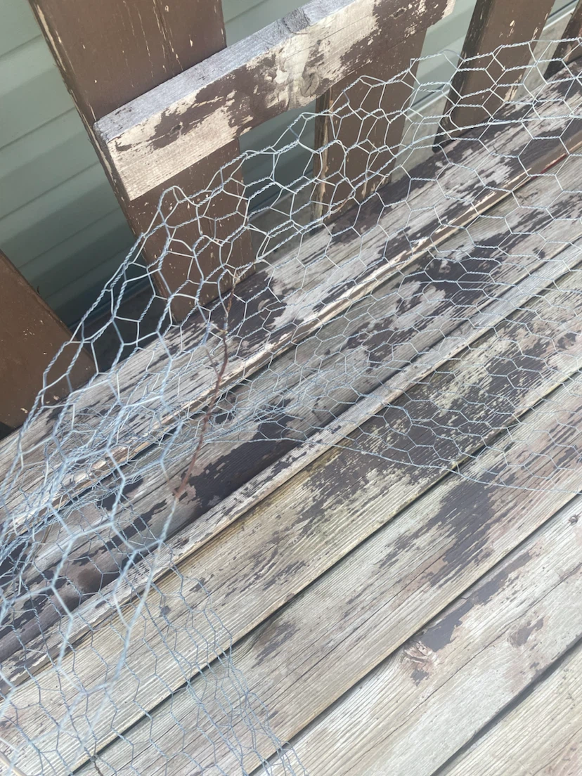 Chicken Wire Mesh Fencing - photo 2