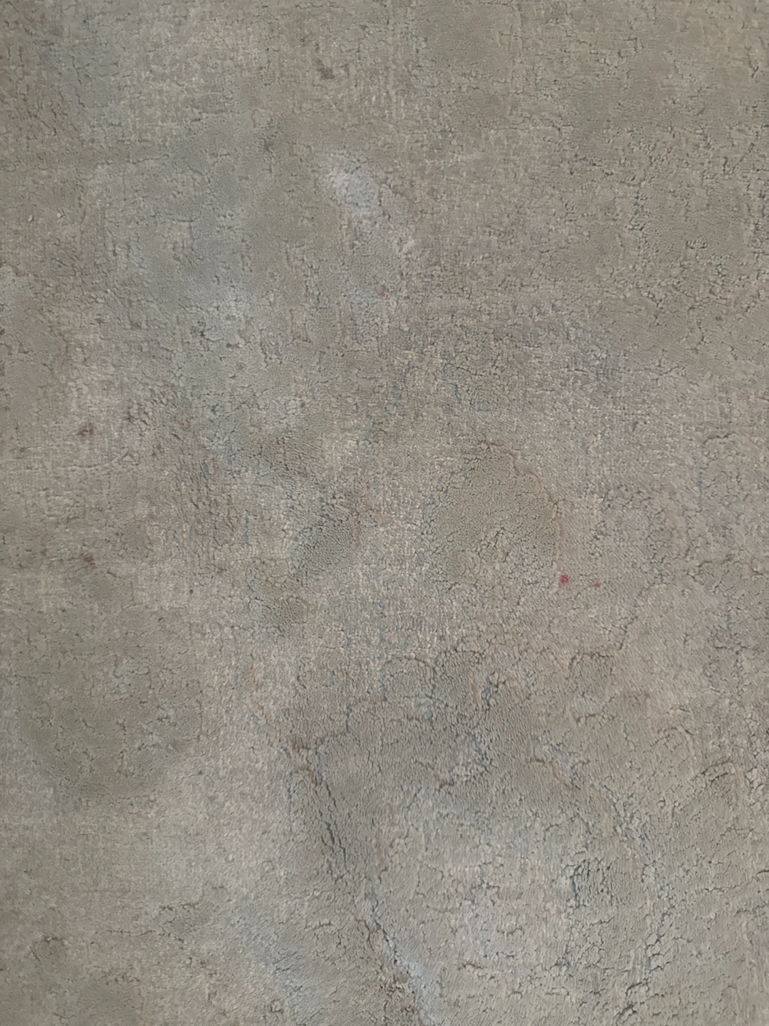Light Grey Area Rug - photo 3