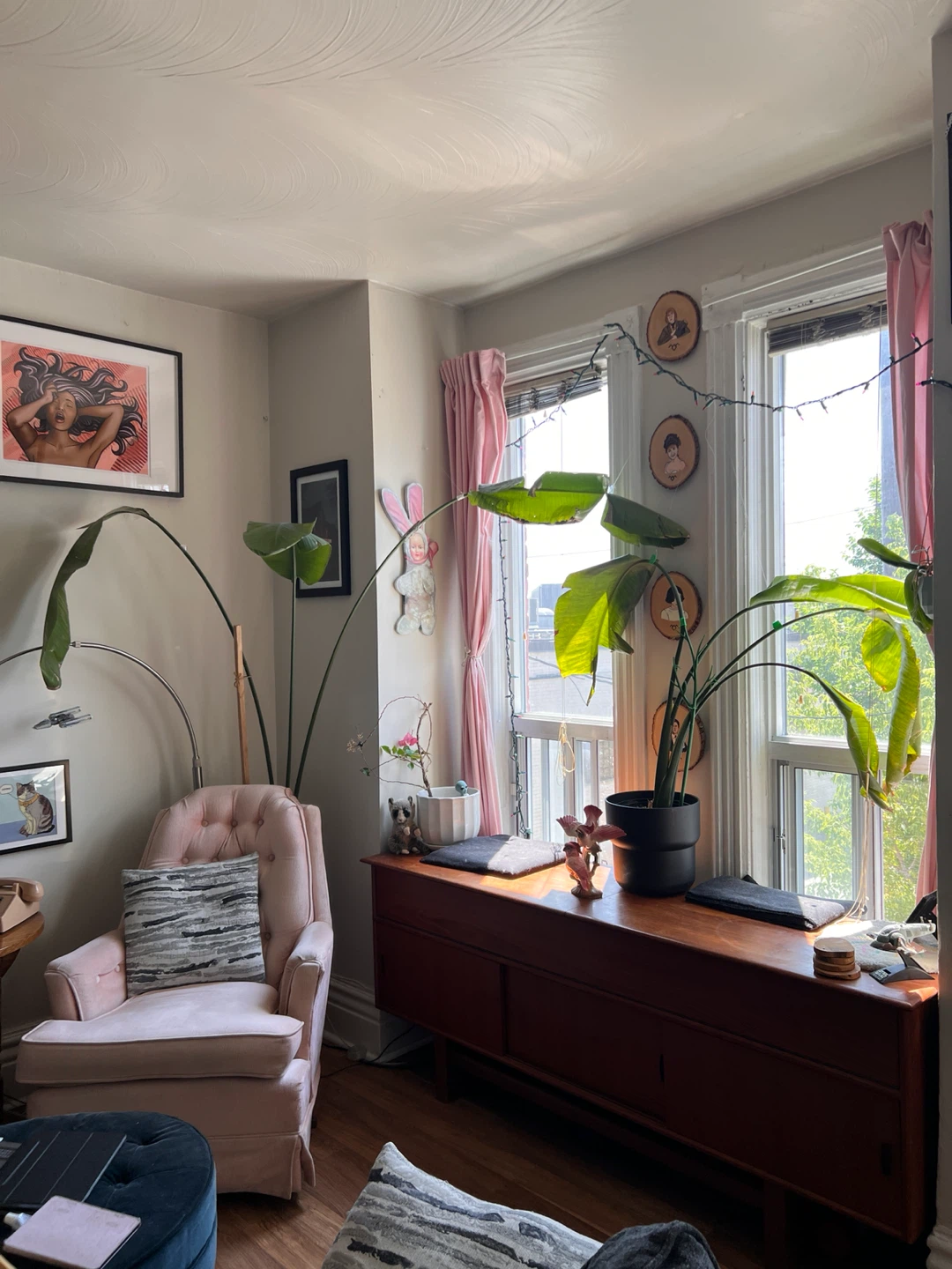 Large Bird of Paradise Plants - photo 2