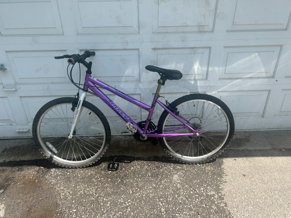 Purple Mountain Bike