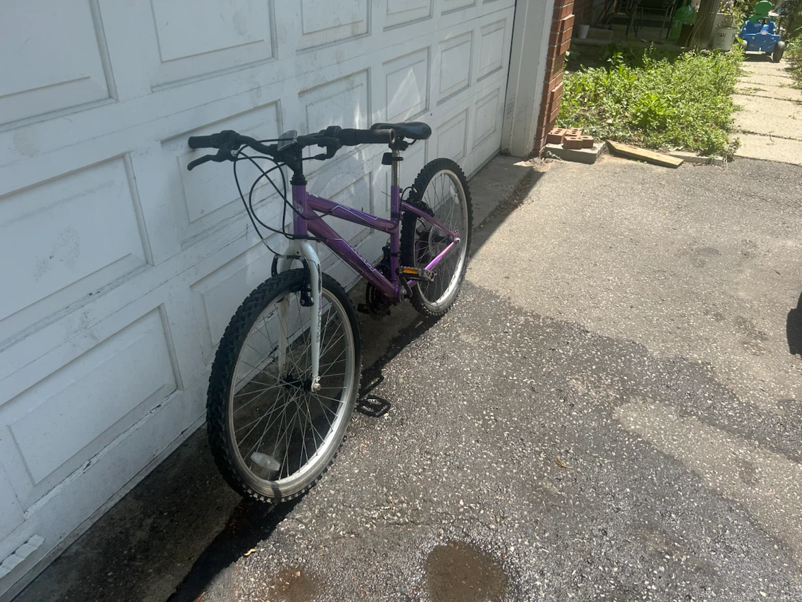 Purple Mountain Bike - photo 2