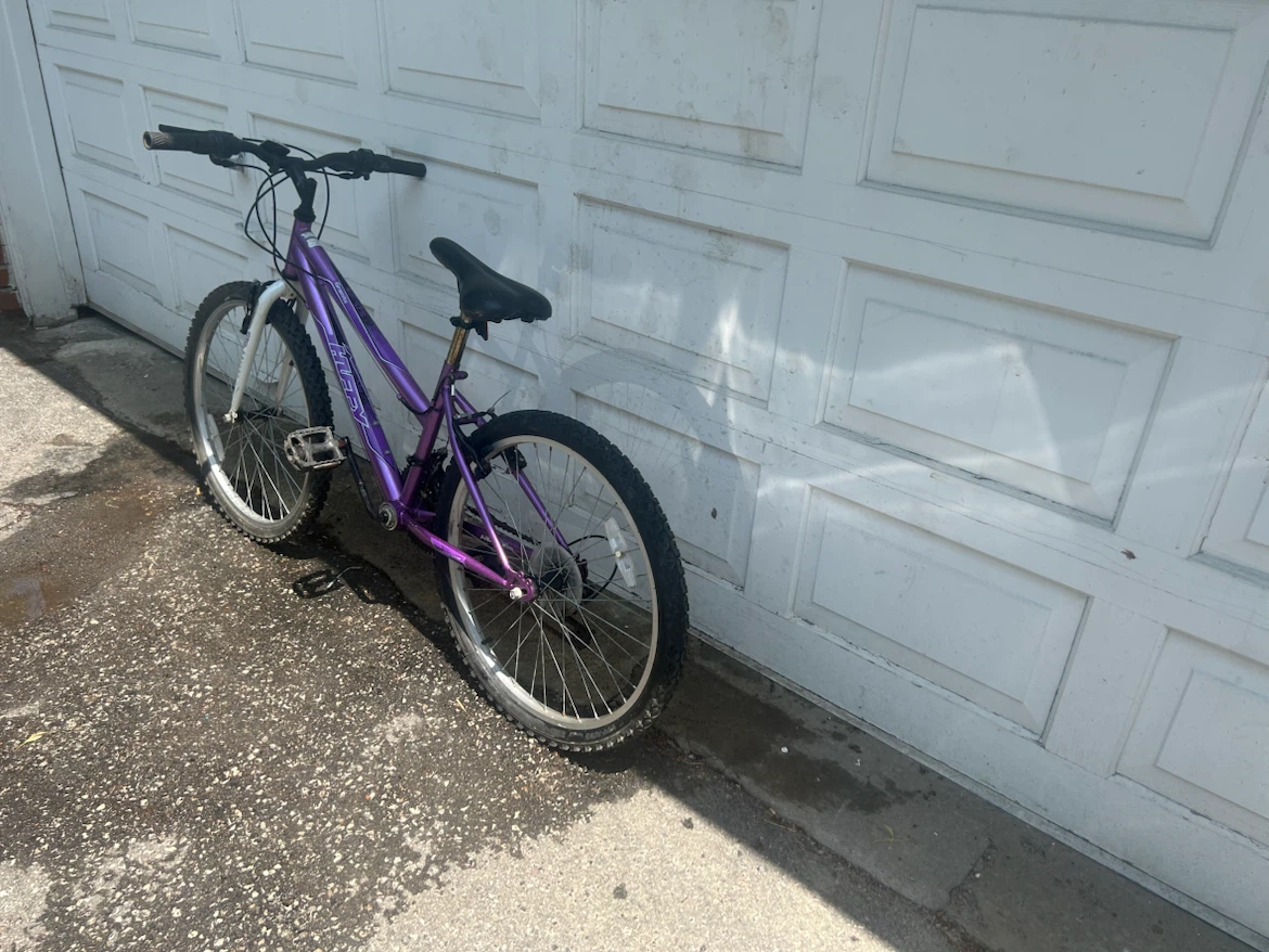 Purple Mountain Bike - photo 3