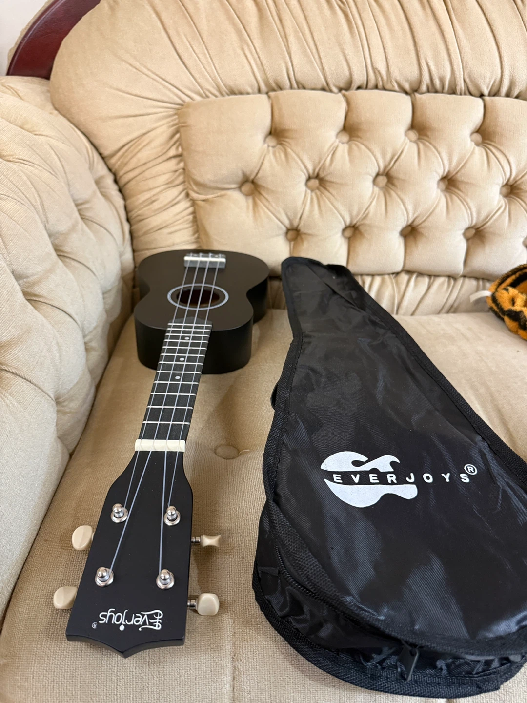 Everjoys Black Ukulele with Gig Bag