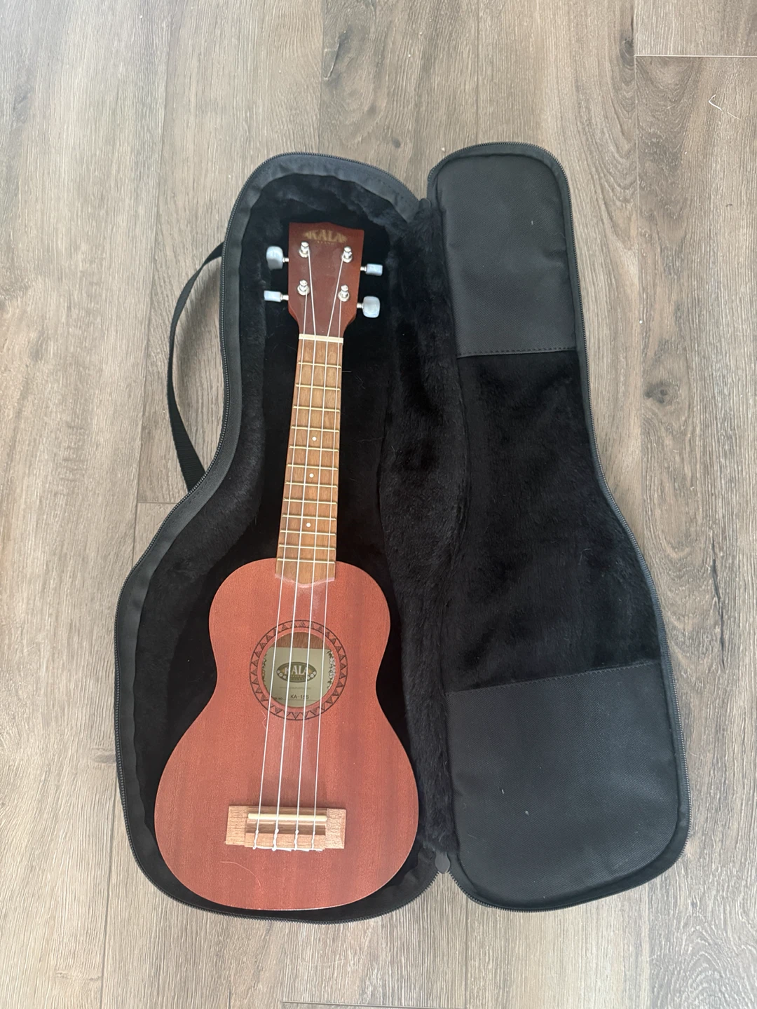 Kala Ukulele and Case