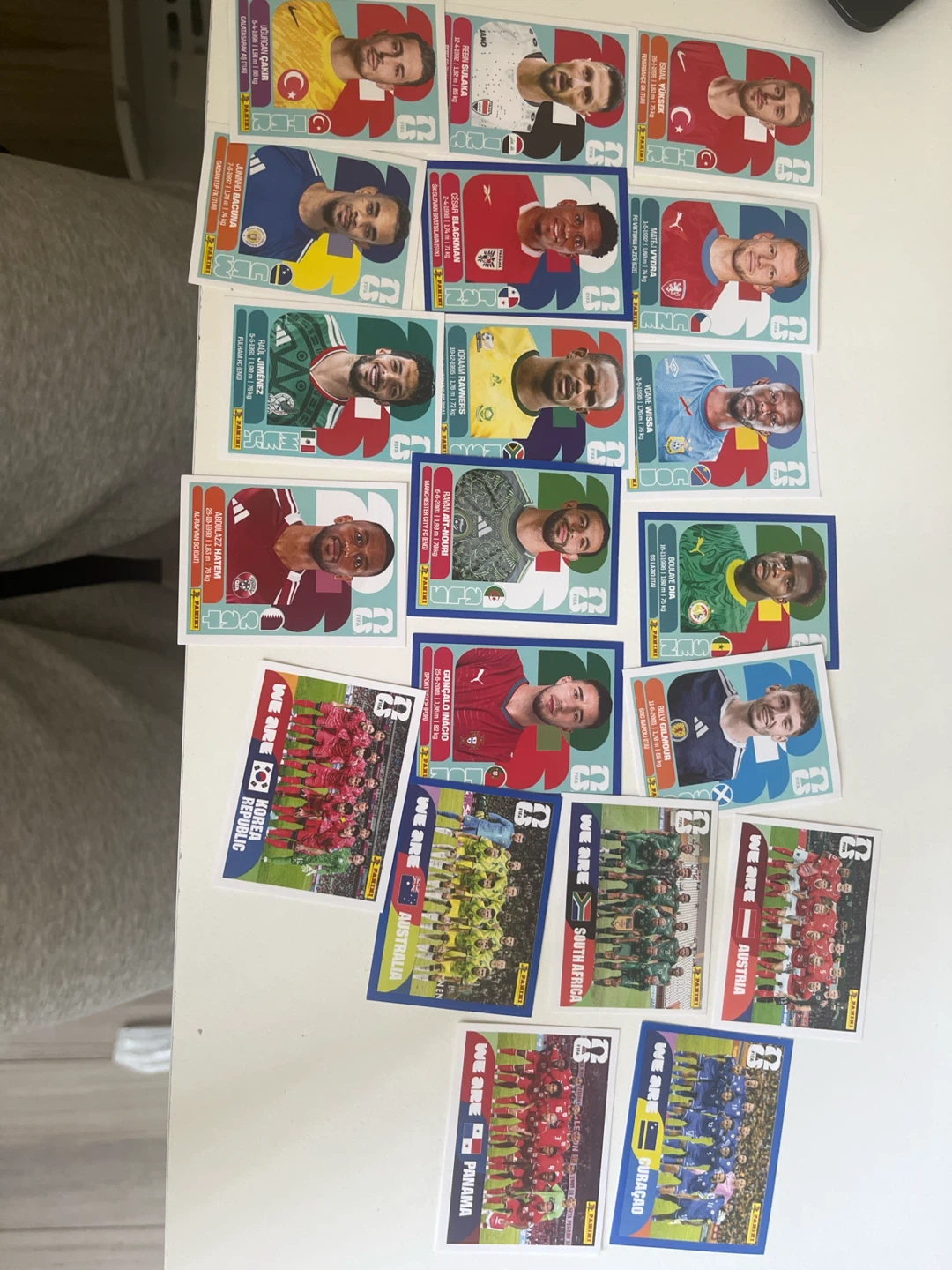 Panini FIFA World Cup Stickers