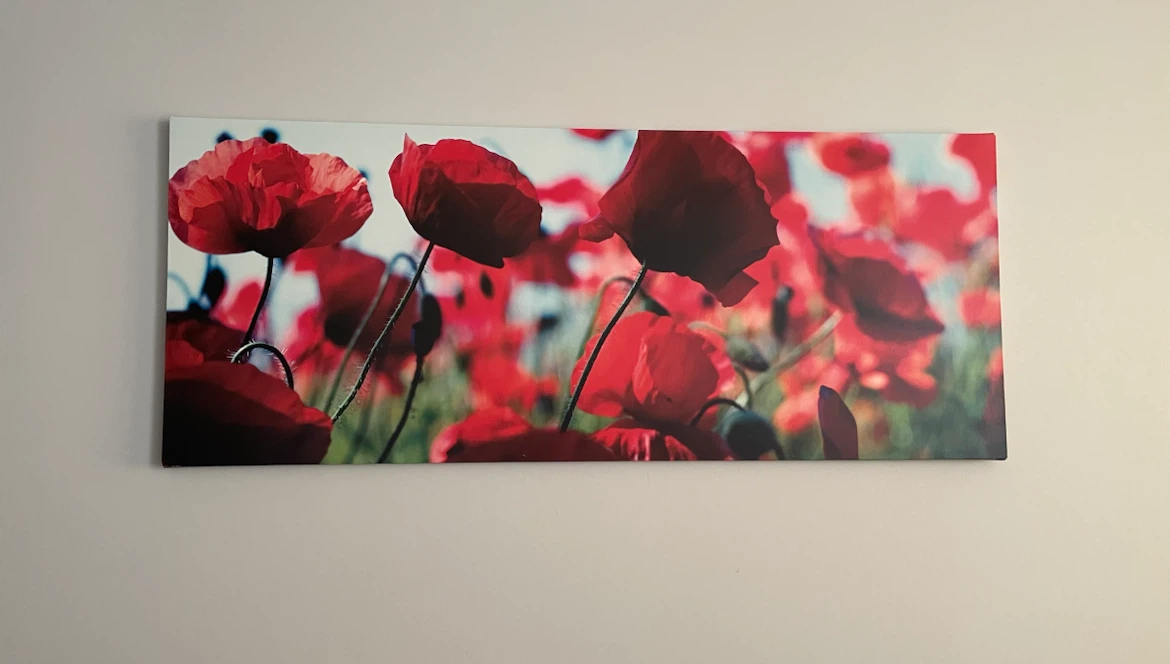 Canvas Print - Red Poppies