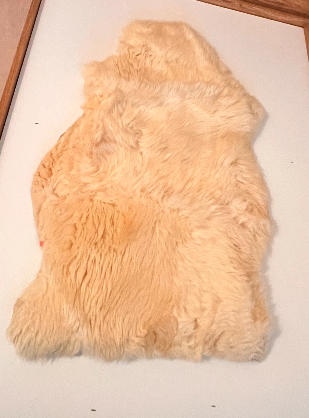 New Zealand real sheepskin rug