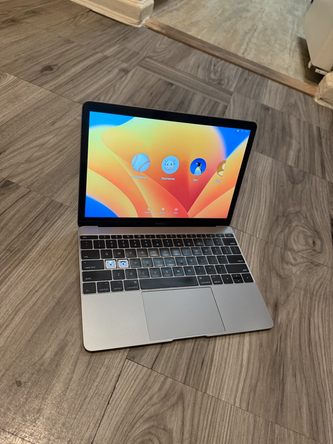 Apple MacBook 12-inch Retina, 2017, Core m3 - photo 4