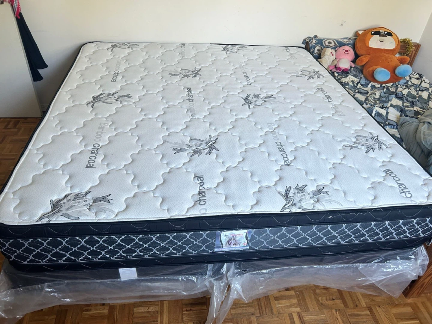 Queen Size Bamboo Charcoal Mattress with Box Spring