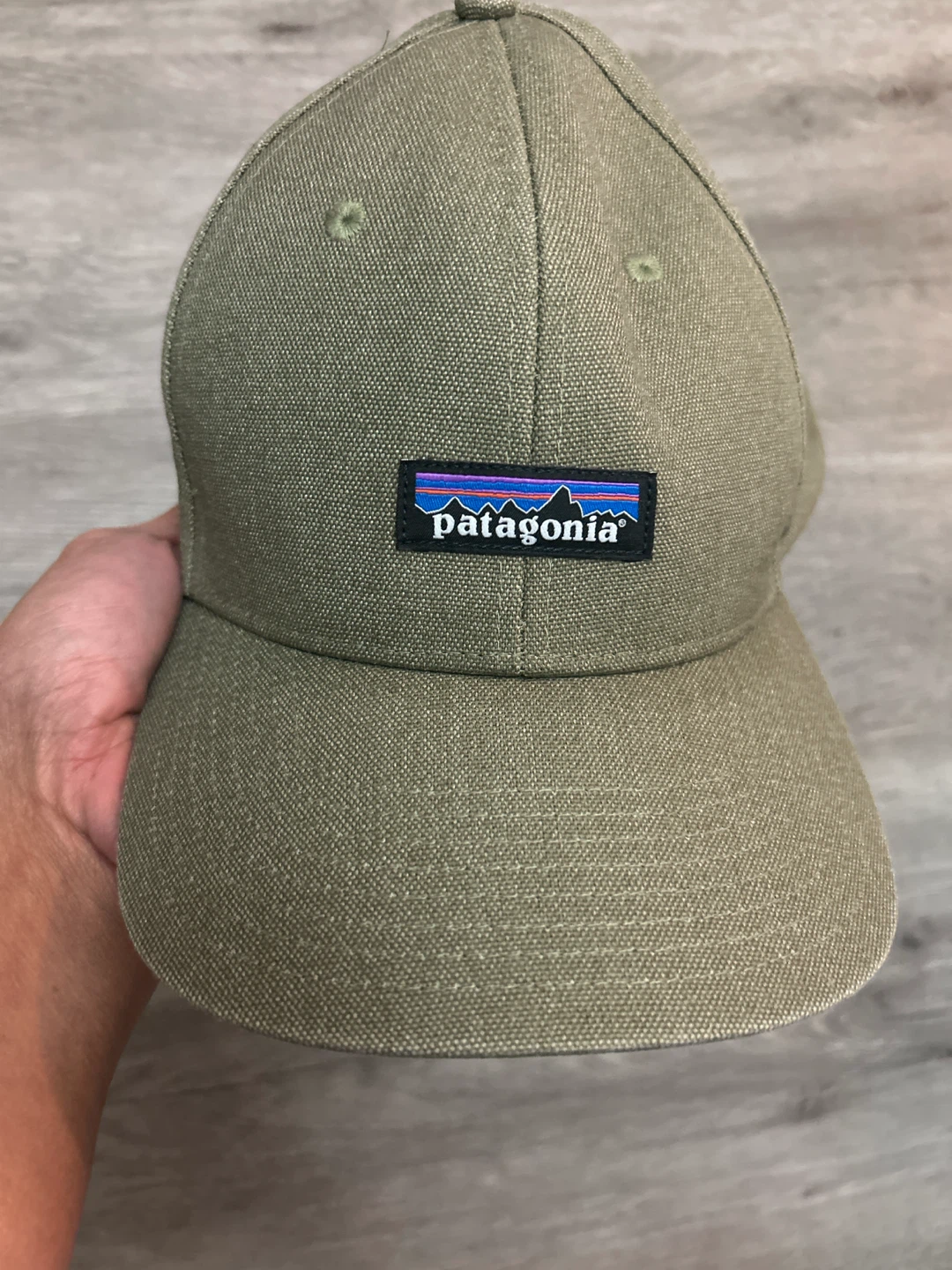 Patagonia Snapback Hat