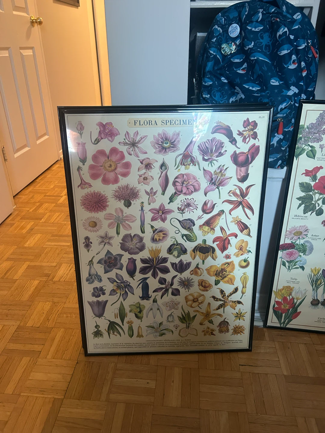framed posters