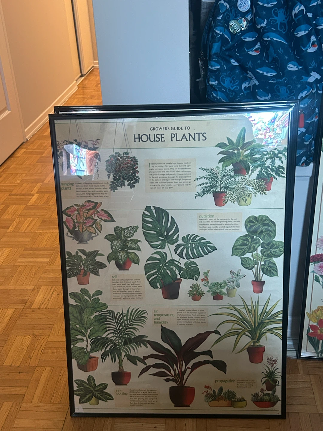 framed posters - photo 3