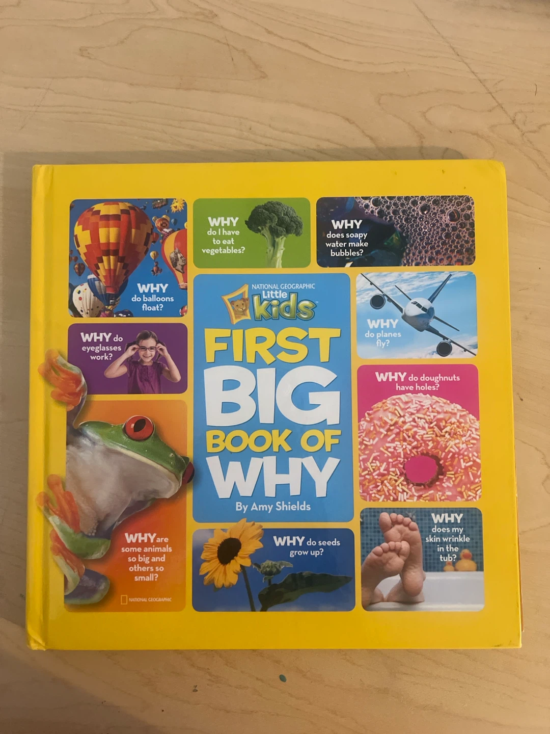 National Geographic Little Kids First Big Book of Why