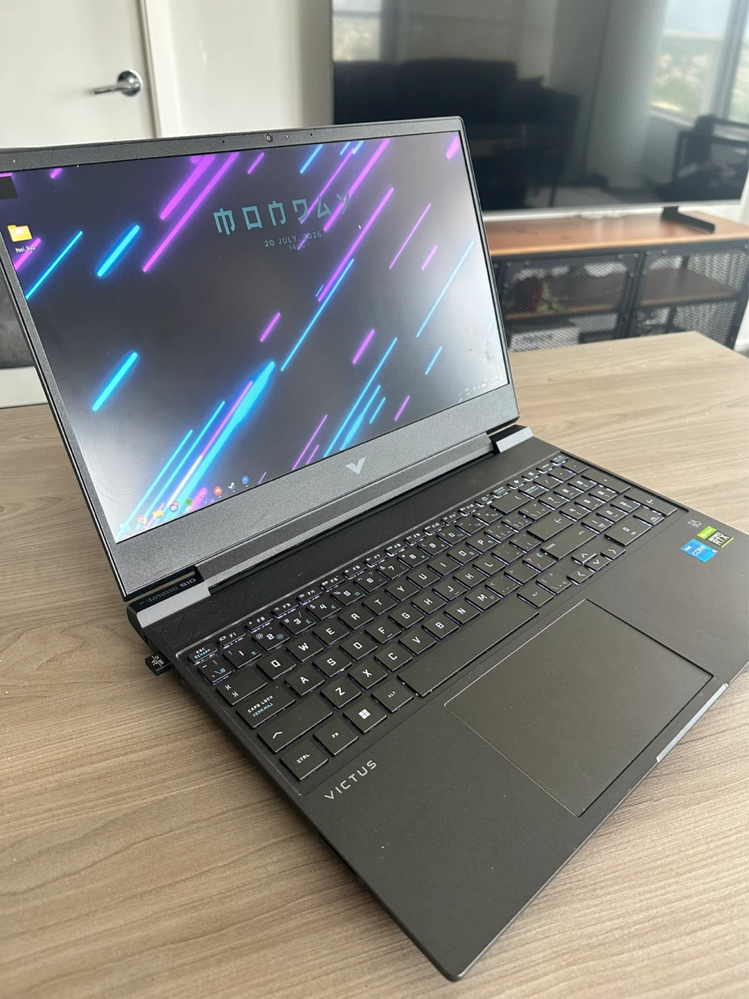 HP Victus Gaming Laptop - photo 3