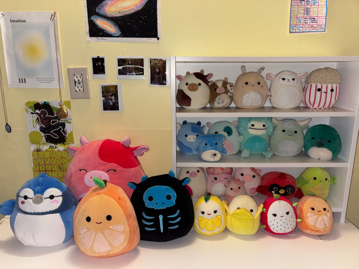 Squishmallow Plush Toys Assortment