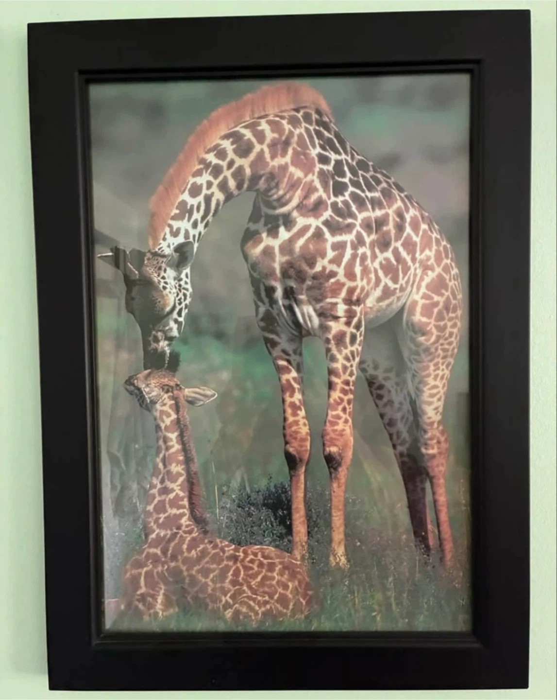 Set of 4 Framed Wild Animal - photo 2