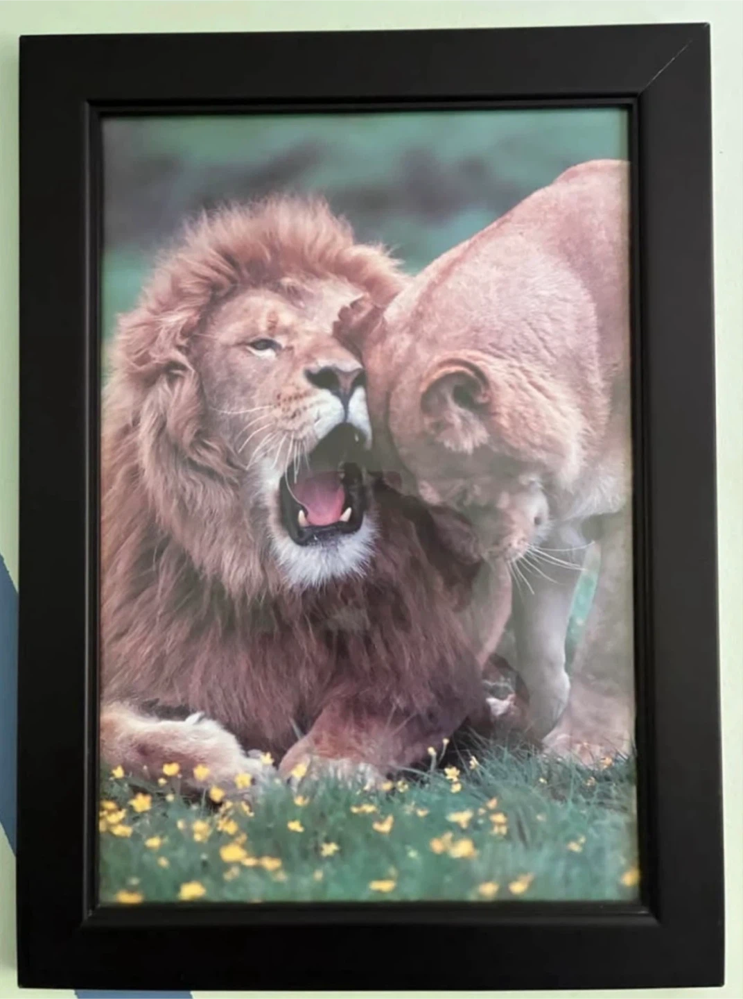 Set of 4 Framed Wild Animal - photo 3