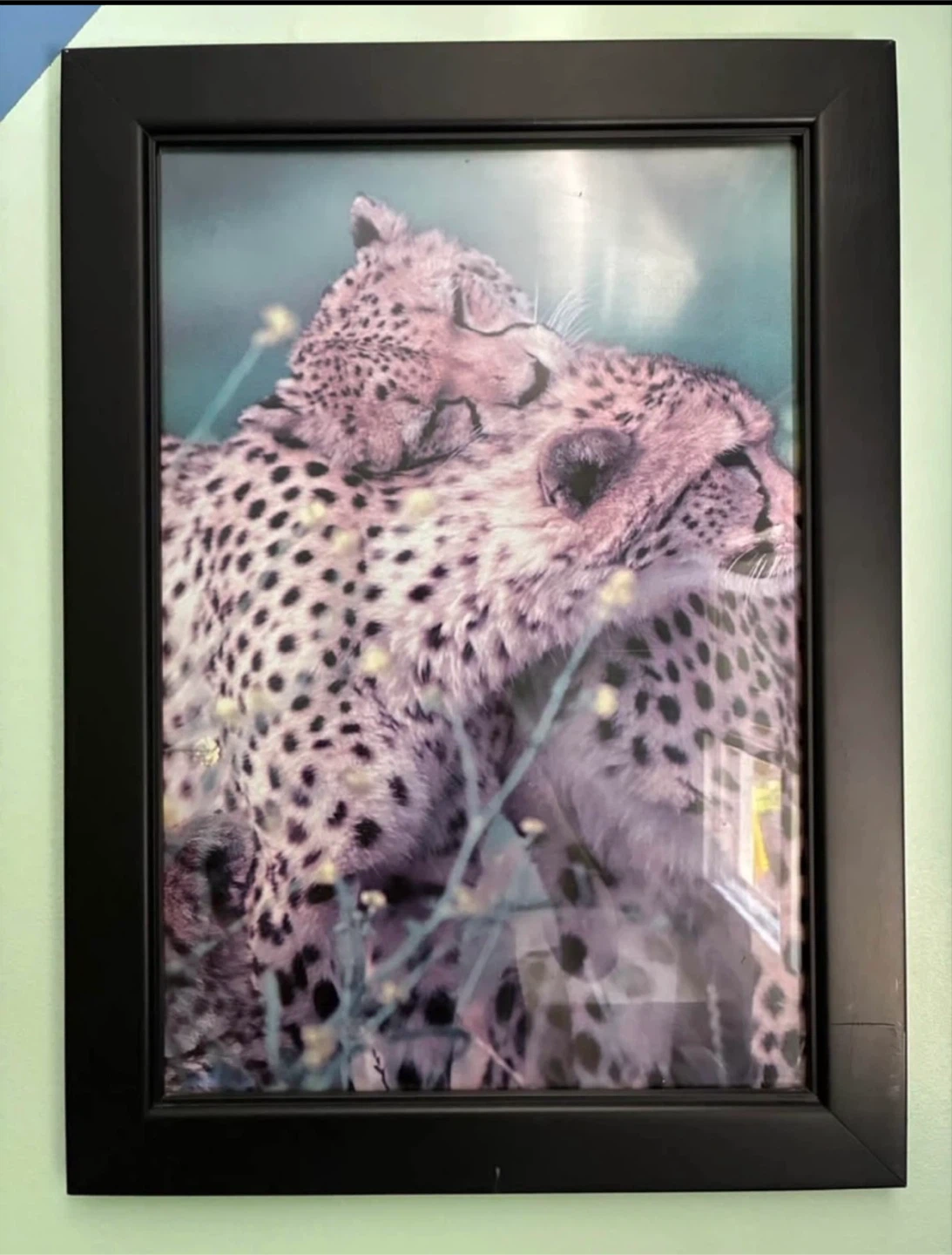 Set of 4 Framed Wild Animal - photo 4