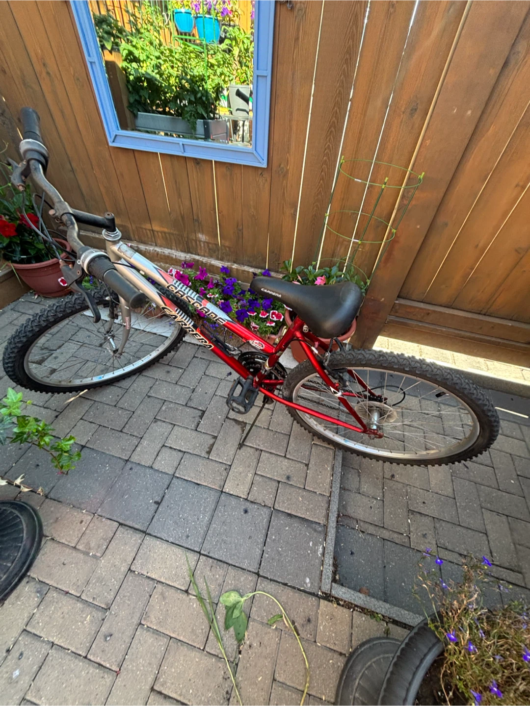 Carrera Cascade Mountain Bike