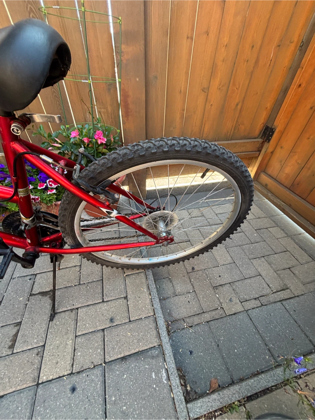 Carrera Cascade Mountain Bike - photo 2