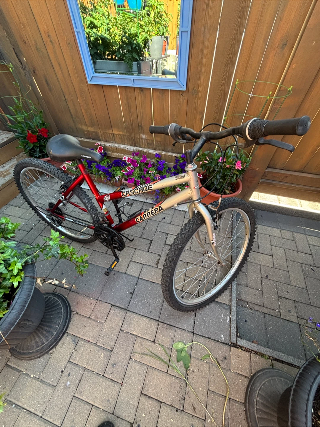 Carrera Cascade Mountain Bike - photo 5