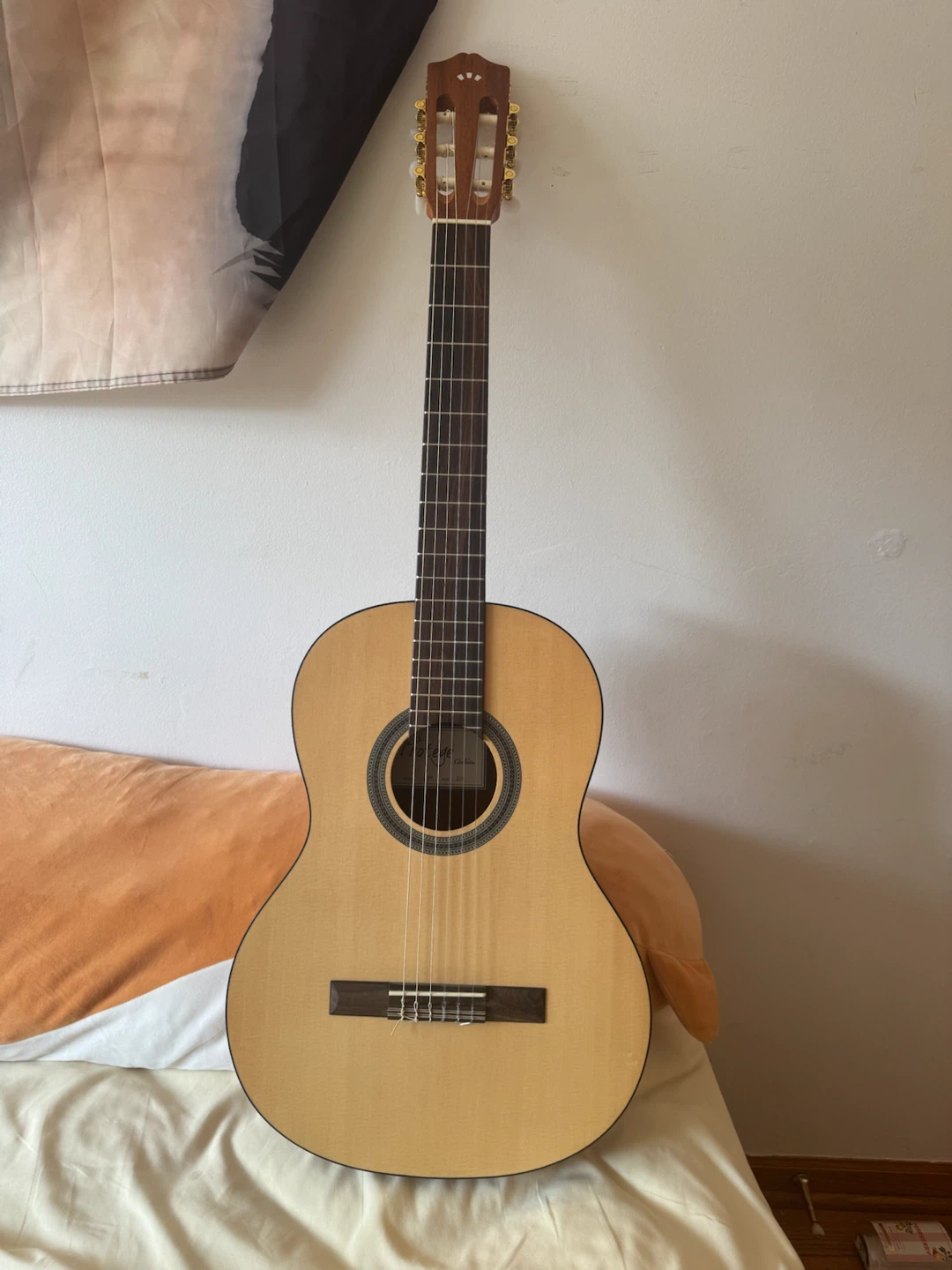 Acoustic Guitar