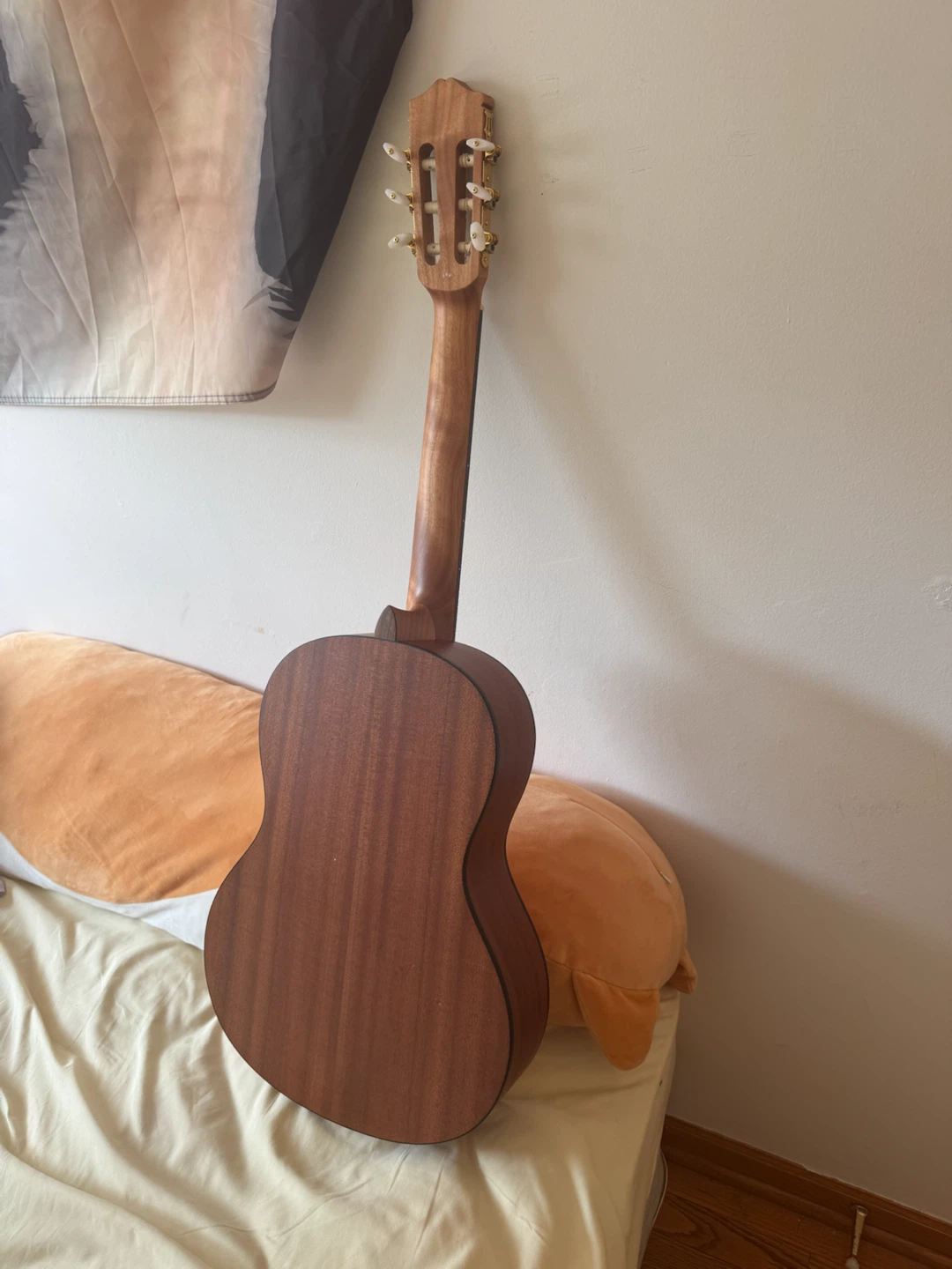 Acoustic Guitar - photo 5